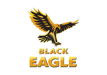 Picture for manufacturer BLACK EAGLE