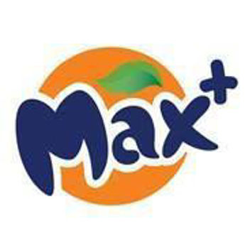 Picture for manufacturer MAX PLUS