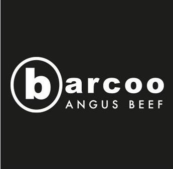 Picture for manufacturer BARCOO