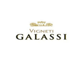 Picture for manufacturer VIGNETI GALASSI