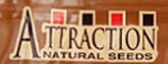 Picture for manufacturer ATTRACTION