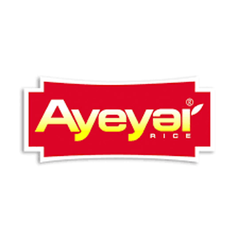 Picture for manufacturer AYEYAR