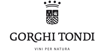 Picture for manufacturer GORGHI TONDI