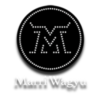 Picture for manufacturer MARRI